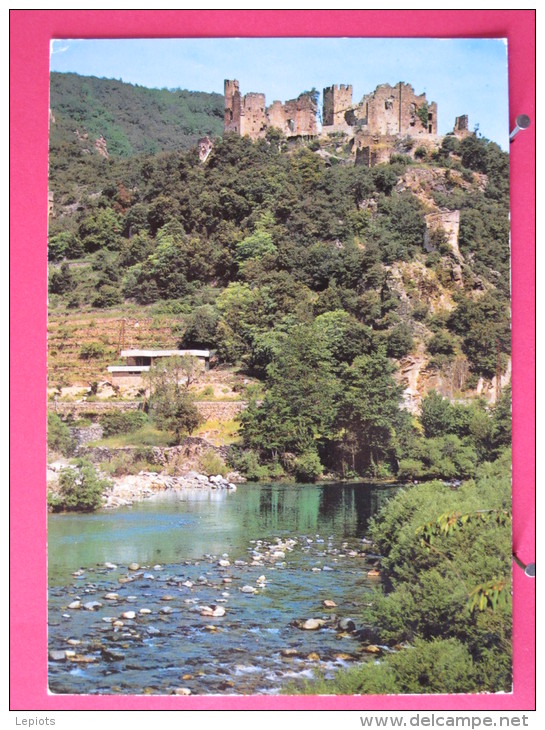 couleur vert (9).jpg